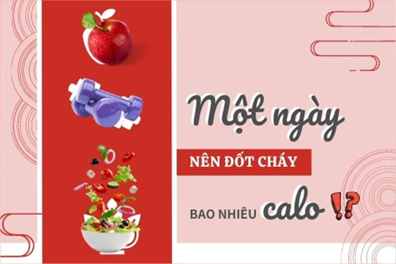  Nên đốt cháy bao nhiêu calo một ngày để giảm cân khoa học?