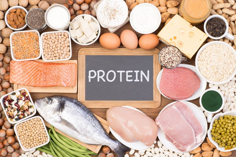Thực phẩm Protein có vai trò quan trọng trong việc giảm mỡ