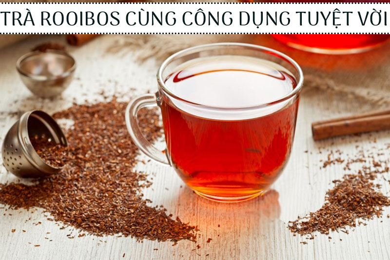 Tìm hiểu về trà rooibos cùng top 3 hiệu quả tuyệt vời cho chị em phụ nữ