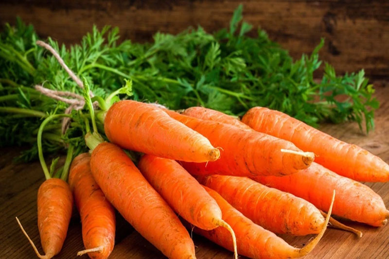 Cà rốt chứa nhiều Vitamin giúp bạn không phải băn khoăn ăn rau gì giảm cân nhanh nhất