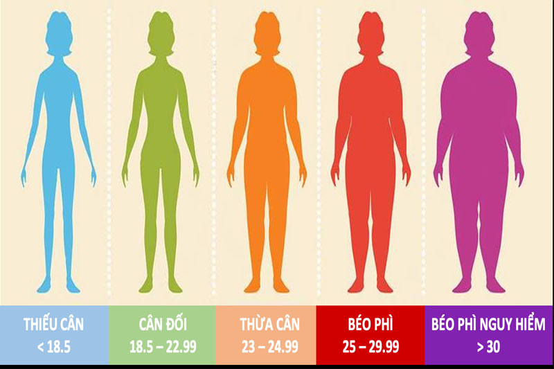Thống kê chỉ số béo phì BMI ở người trưởng thành
