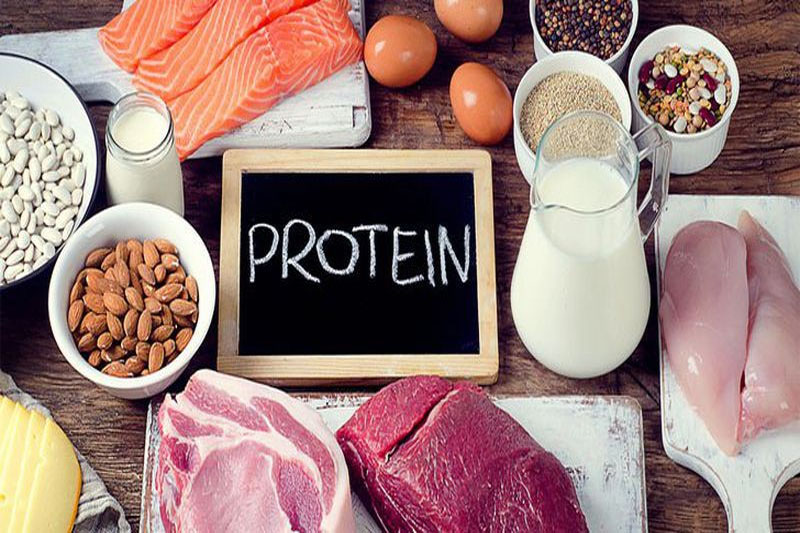 Cung cấp Protein để giảm cân nhanh không cần tập thể dục