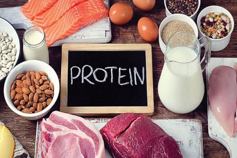 Bạn nên bổ sung những thực phẩm giàu Protein giảm cân hàng ngày