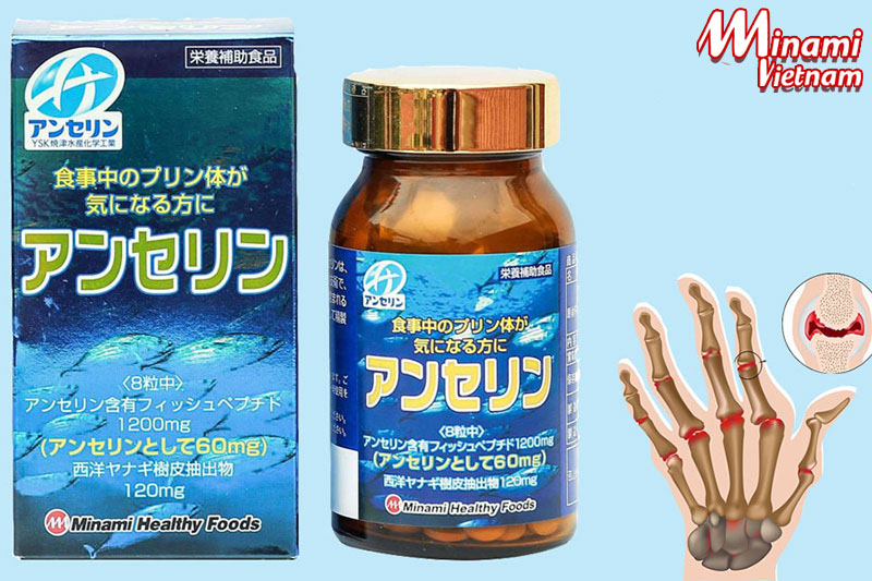Viên uống trị gout Anserine Minami hỗ trợ điều trị gout hiệu quả hàng đầu Nhật Bản