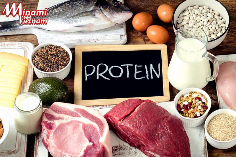 Tăng cường Protein sẽ giúp cho quá trình giảm béo bụng cấp tốc tại nhà hiệu quả hơn