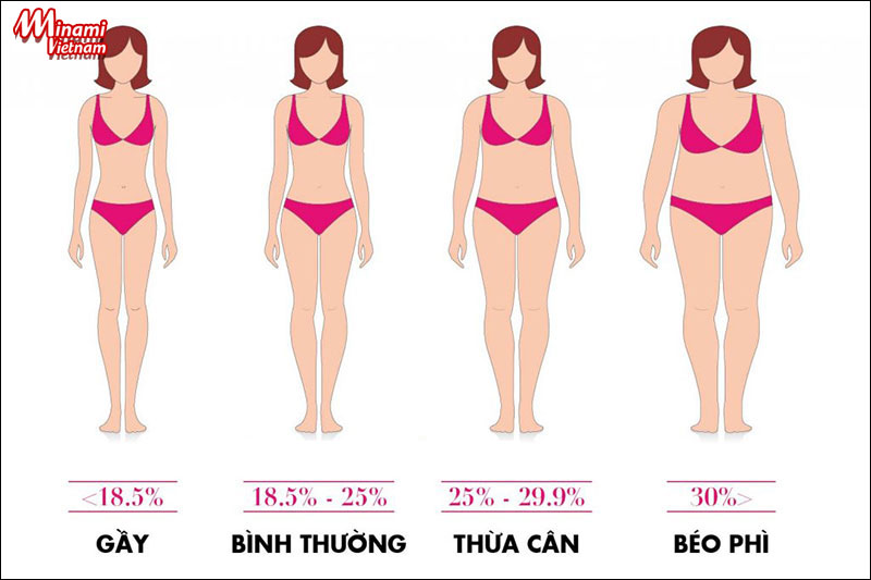 Người bị bệnh béo phì có chỉ số BMI trên 30