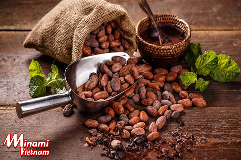Cacao giảm cân hiệu quả và vô cùng thơm ngon