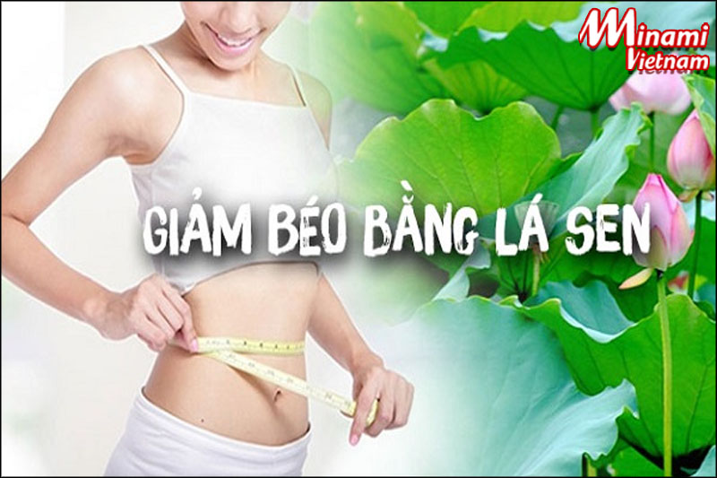 Phương pháp giảm mỡ bụng bằng lá sen được nhiều chuyên gia dinh dưỡng khuyên áp dụng