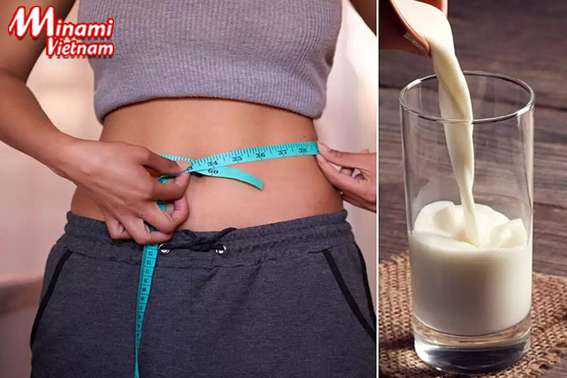 Quá trình giảm cân uống sữa gì để đảm bảo hiệu quả?
