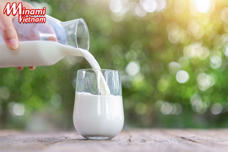 Sữa tươi không đường làm tăng khả năng đốt cháy mỡ thừa của cơ thể