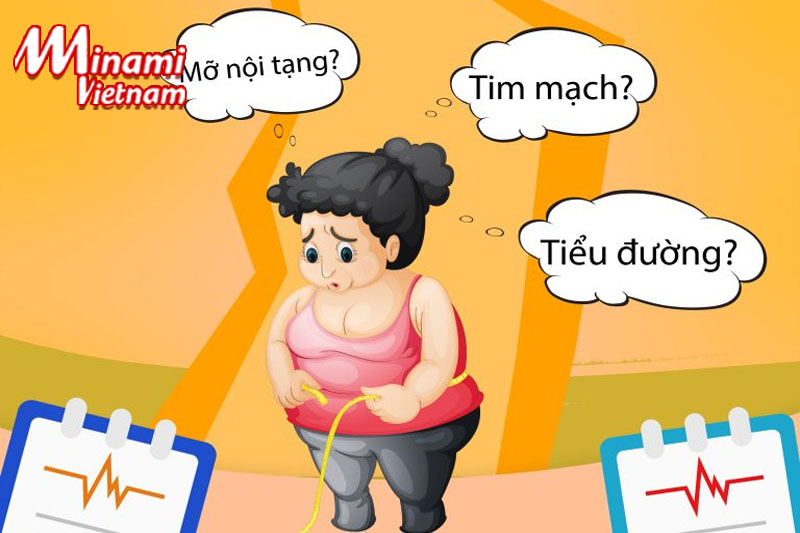 Những tác hại về sức khỏe khi tình trạng thừa mỡ nội tạng