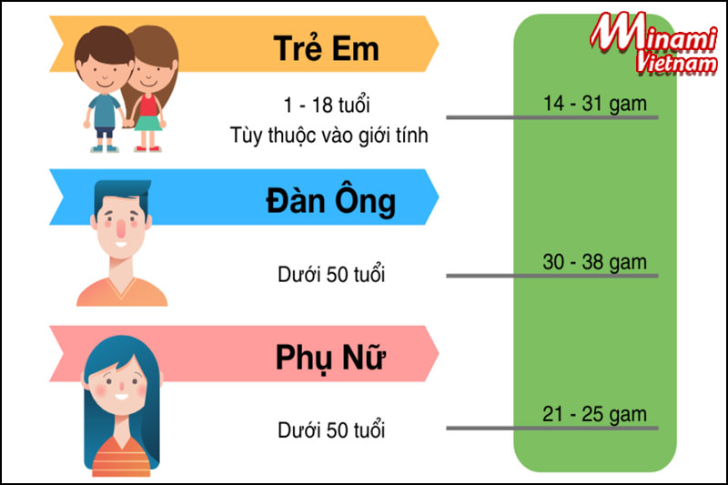 Lượng chất xơ cần thiết mỗi ngày bổ sung cho mỗi lứa tuổi