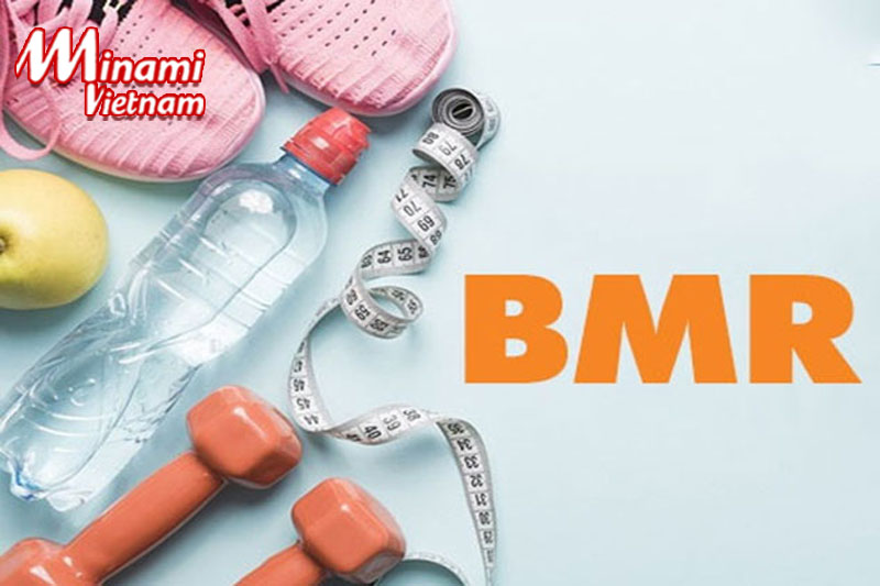 Chỉ số BMR mang đến nhiều ý nghĩa cho sức khoẻ và cải thiện vóc dáng