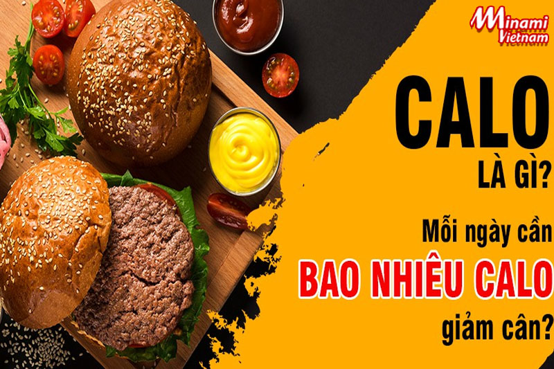 [GIẢI ĐÁP] Bạn cần đốt cháy bao nhiêu Calo để giảm cân?