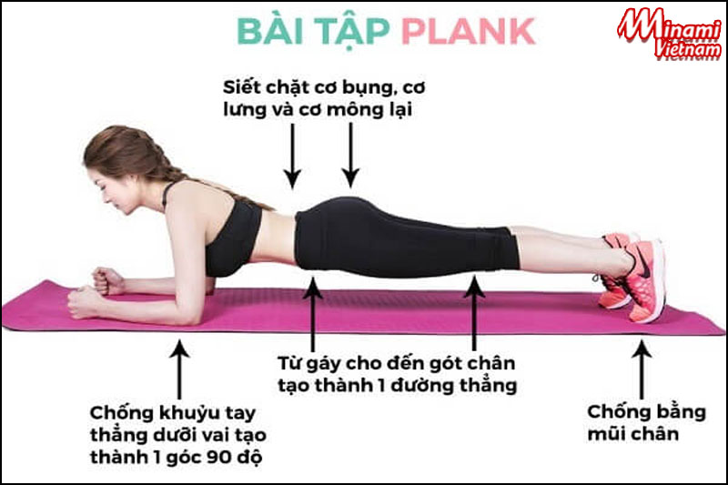 Cách luyện tập bài Plank cơ bản đúng cách