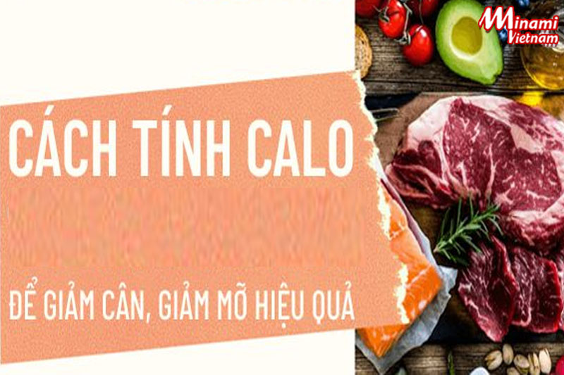 [HƯỚNG DẪN] Tính Calo để giảm cân an toàn và hiệu quả cao