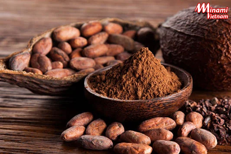 Thành phần bột cacao giúp giảm cân hiệu quả và vô cùng an toàn