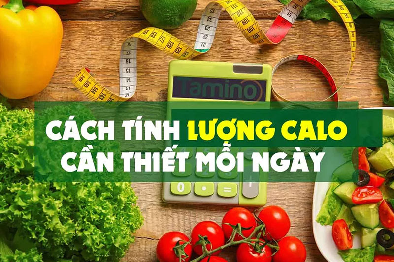 Cách tính lượng calo cần thiết cho cơ thể giúp kiểm soát cân nặng tốt hơn