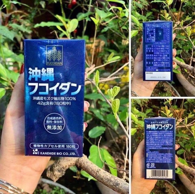 Công dụng của thuốc Fucoidan Công dụng của thuốc Fucoidan