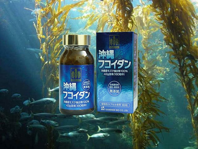 Những đối tượng nên dùng Fucoidan Những đối tượng nên dùng Fucoidan