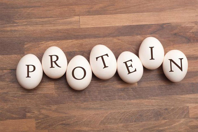Bạn đã biết bao nhiêu vai trò của Protein?