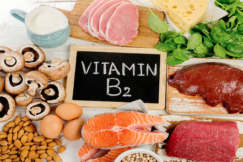 Vitamin B2 giúp chuyển hoá chất béo thành năng lượng cần thiết cho cơ thể